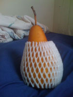 Wannabe asian pear